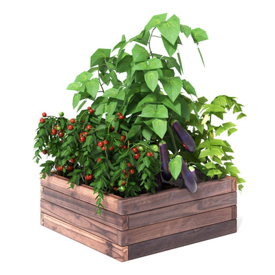 Brown Raised Garden Bed, 24'' L x 24'' W x 10''H 