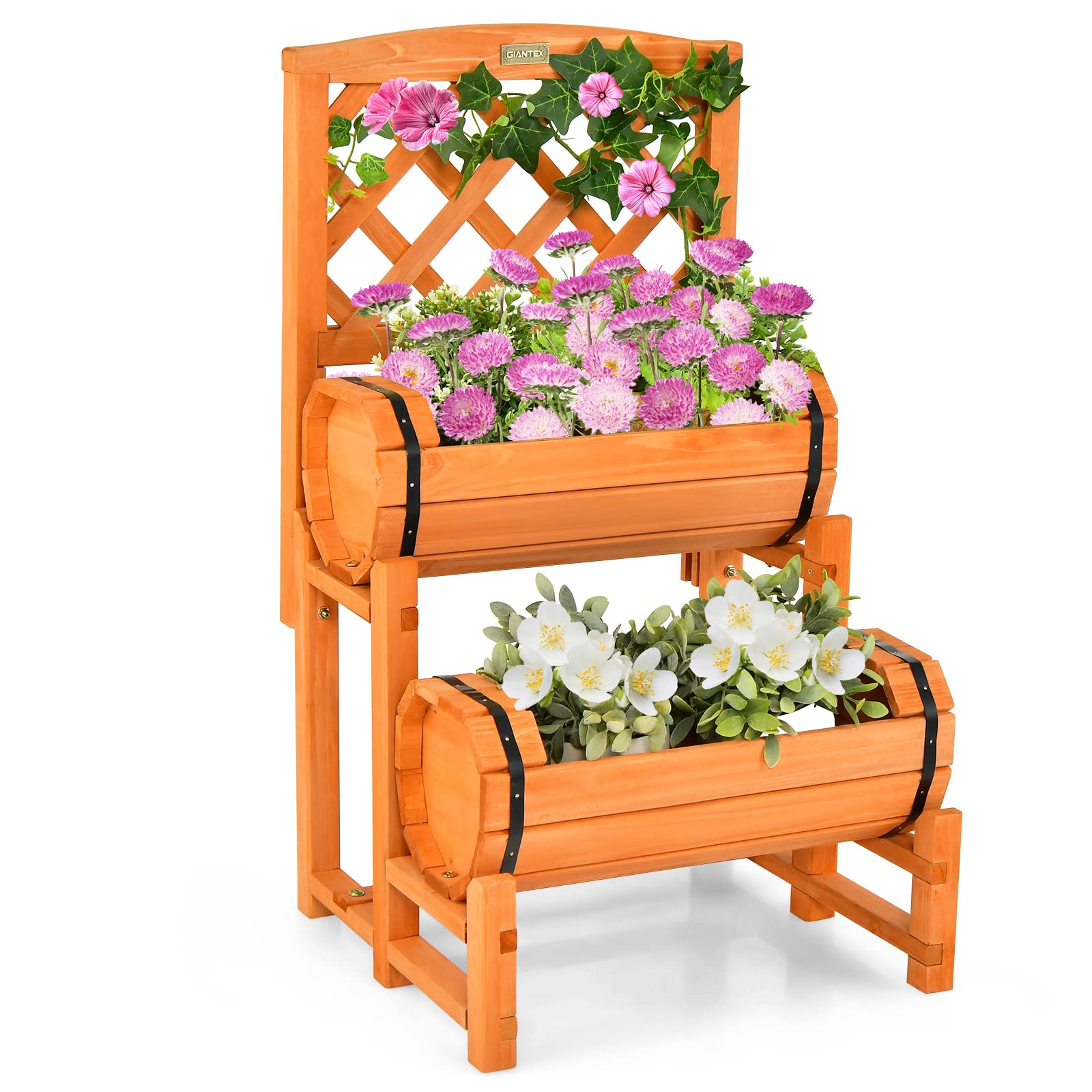 Giantex Raised Garden Bed with 2 Barrel Planters & Trellis, 2-Tier Freestanding Wooden Raised Bed for Vegetable Flower Fruit 