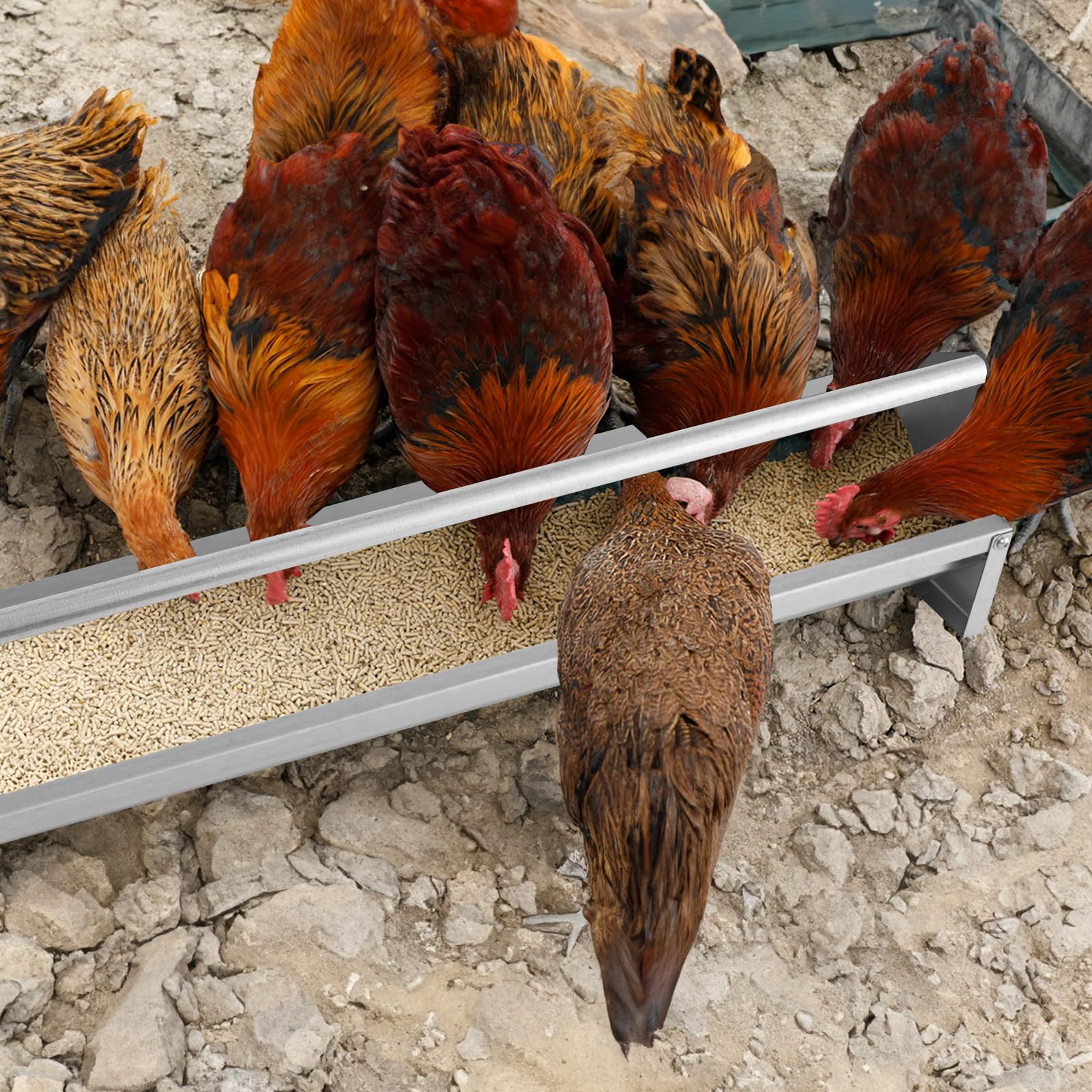 Giantex Chicken Feeding Trough 45" Long - Heavy Duty Galvanized Steel Chicken Feeder 