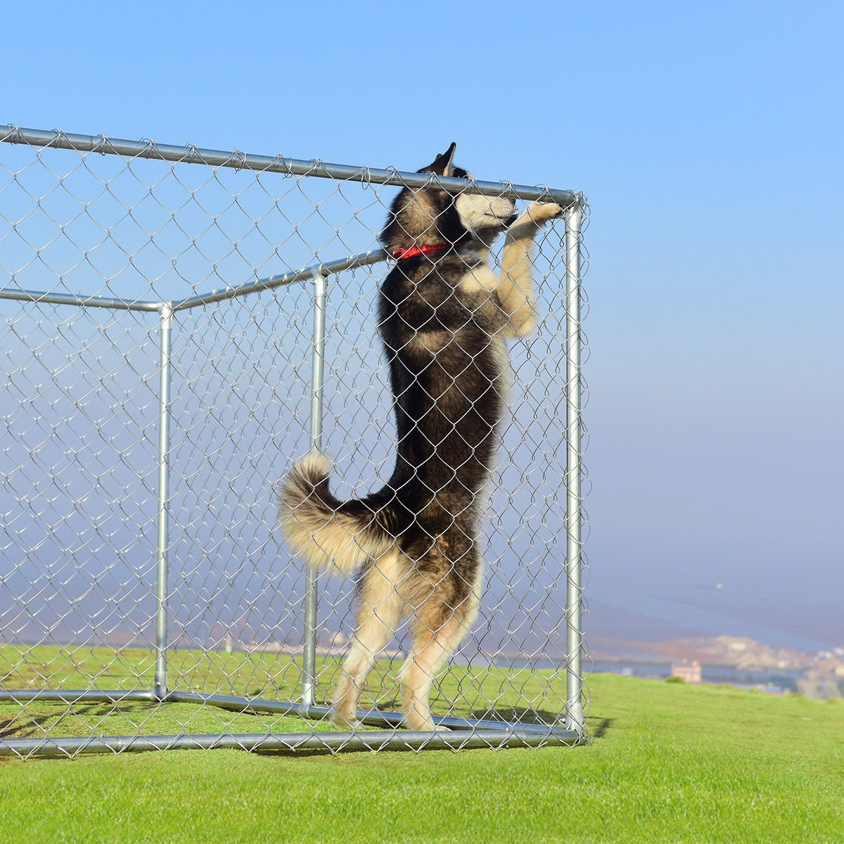 Giantex 7.5ft x 7.5ft Large Outdoor Dog Kennel, Pet Dog Run House 