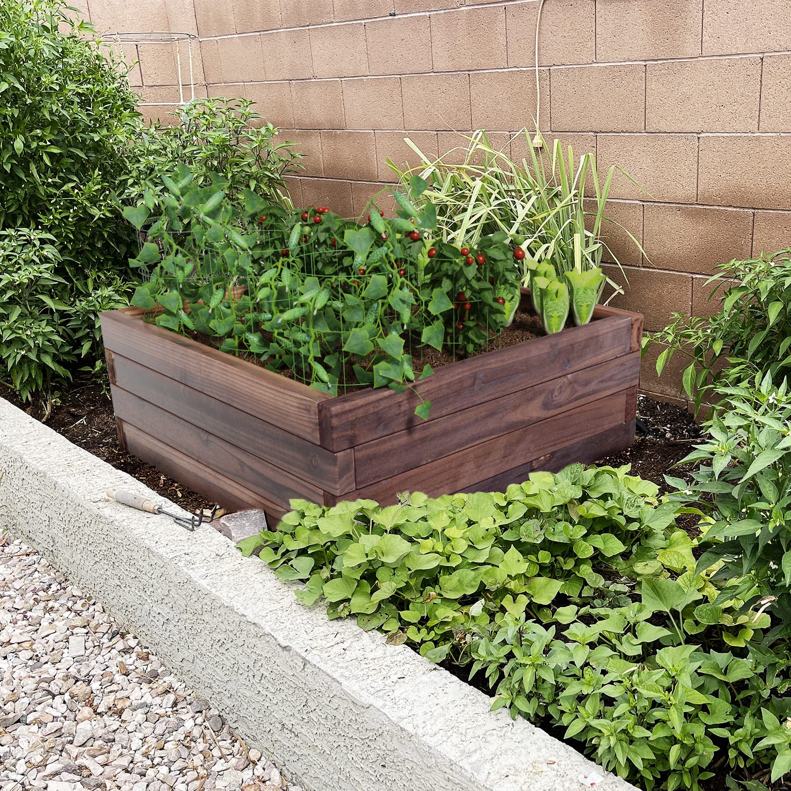 Brown Raised Garden Bed, 24'' L x 24'' W x 10''H 