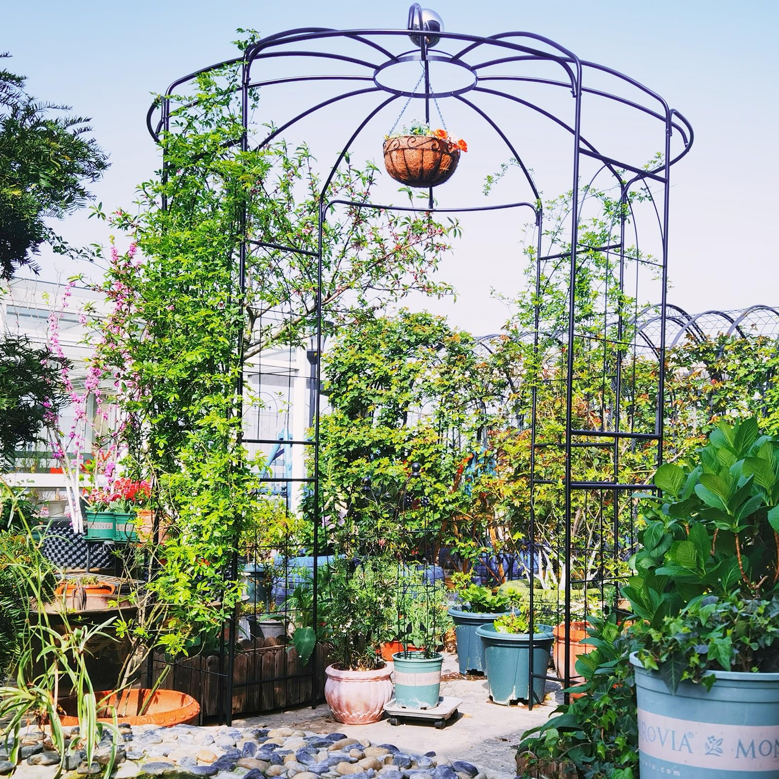 Giantex Birdcage Shape Gazebo - 9.4' H x 6.8' W Metal Arch Trellis for Climbing Plants Clematis Vines 