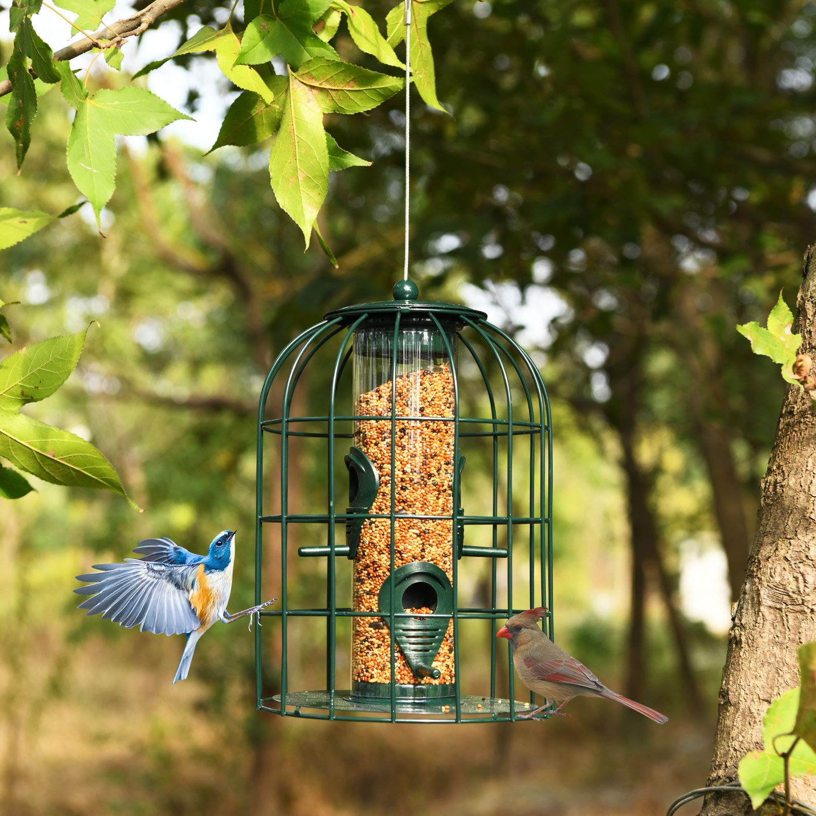 Giantex Metal Hanging Bird Feeder, Outdoor Squirrel-Proof Bird Feeder Cage with 4 Feeding Ports, Transparent PC Tube 