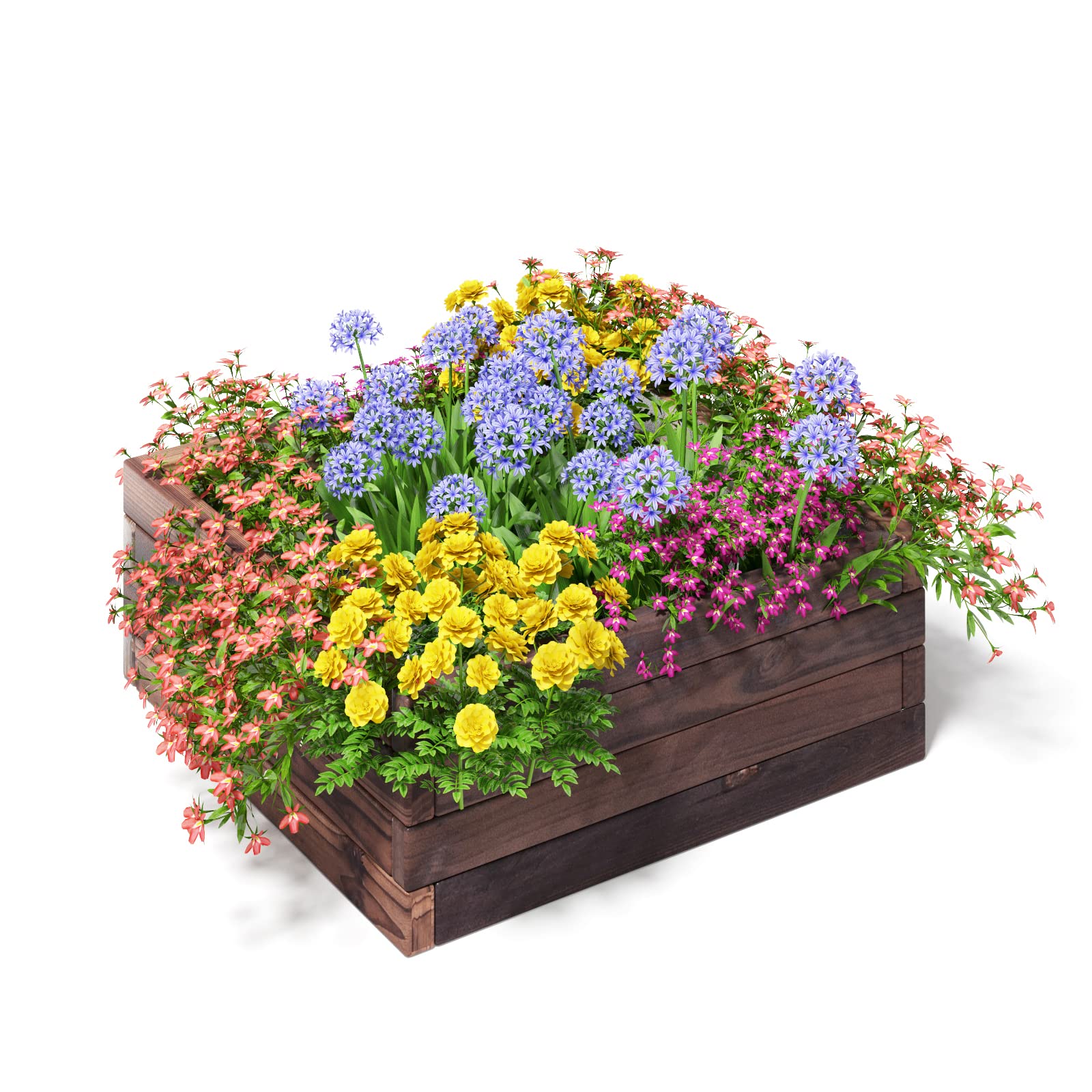 Brown Raised Garden Bed, 24'' L x 24'' W x 10''H 
