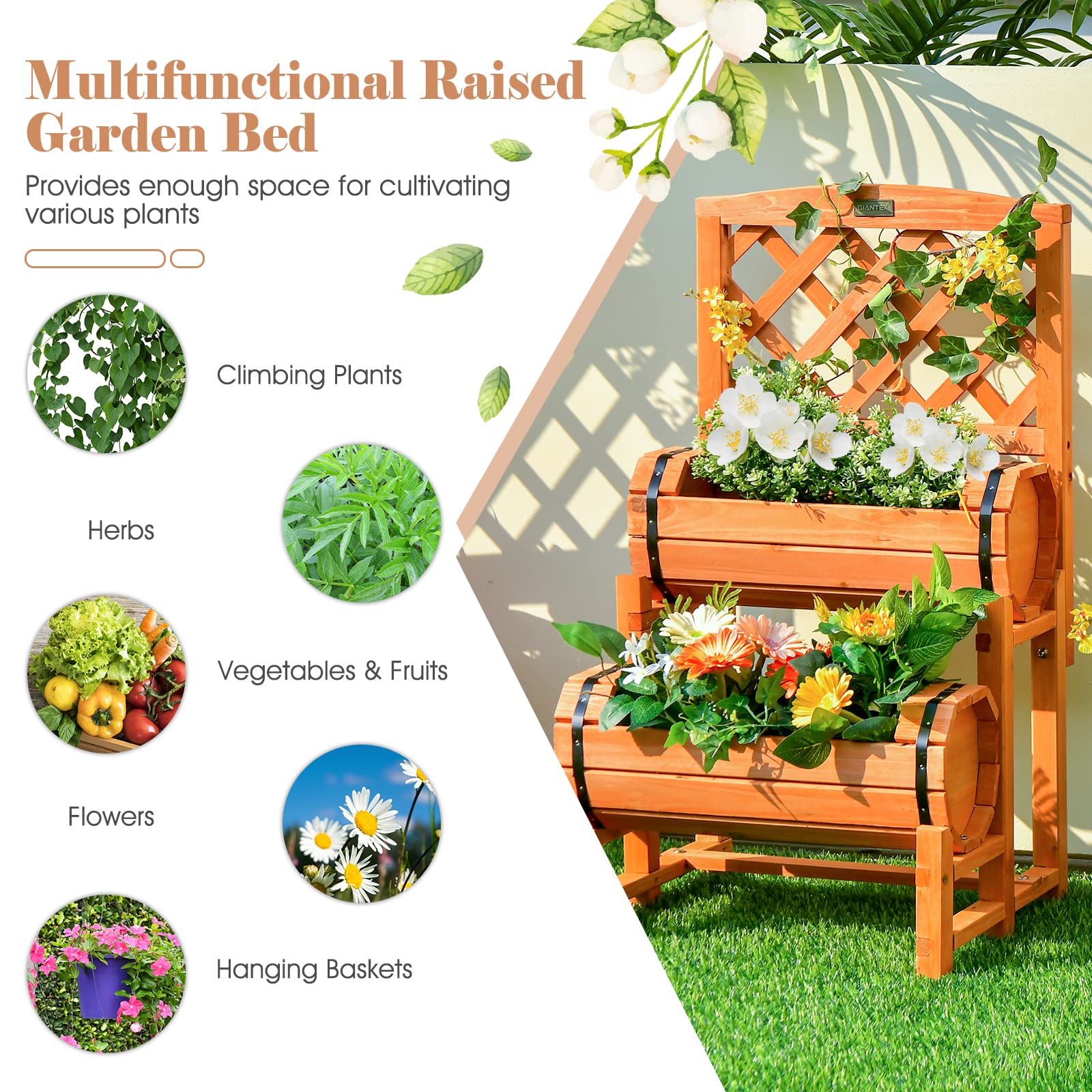 Giantex Raised Garden Bed with 2 Barrel Planters & Trellis, 2-Tier Freestanding Wooden Raised Bed for Vegetable Flower Fruit 