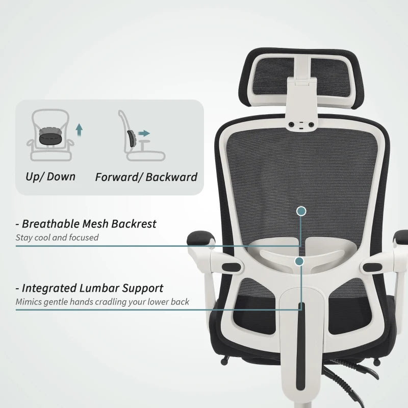 Ergonomic Office Chair, Mesh Reclining Desk Chair with Adjustable Lumbar Support, Headrest, Black