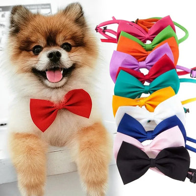 Pet Dog Cat Necklace Adjustable Strap for Cat Collar Dogs Accessories pet dog bow tie puppy bow ties dog Pet supplies 