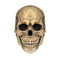 Halloween Movable Mouth Skull Mask Helmet Mouth Movable Skull Full Head Skull Mask
