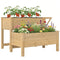 Wooden Raised Garden Bed, 2-Tier Raised Planter with Storage Shelf, Side Board, Drainage Holes and Liner