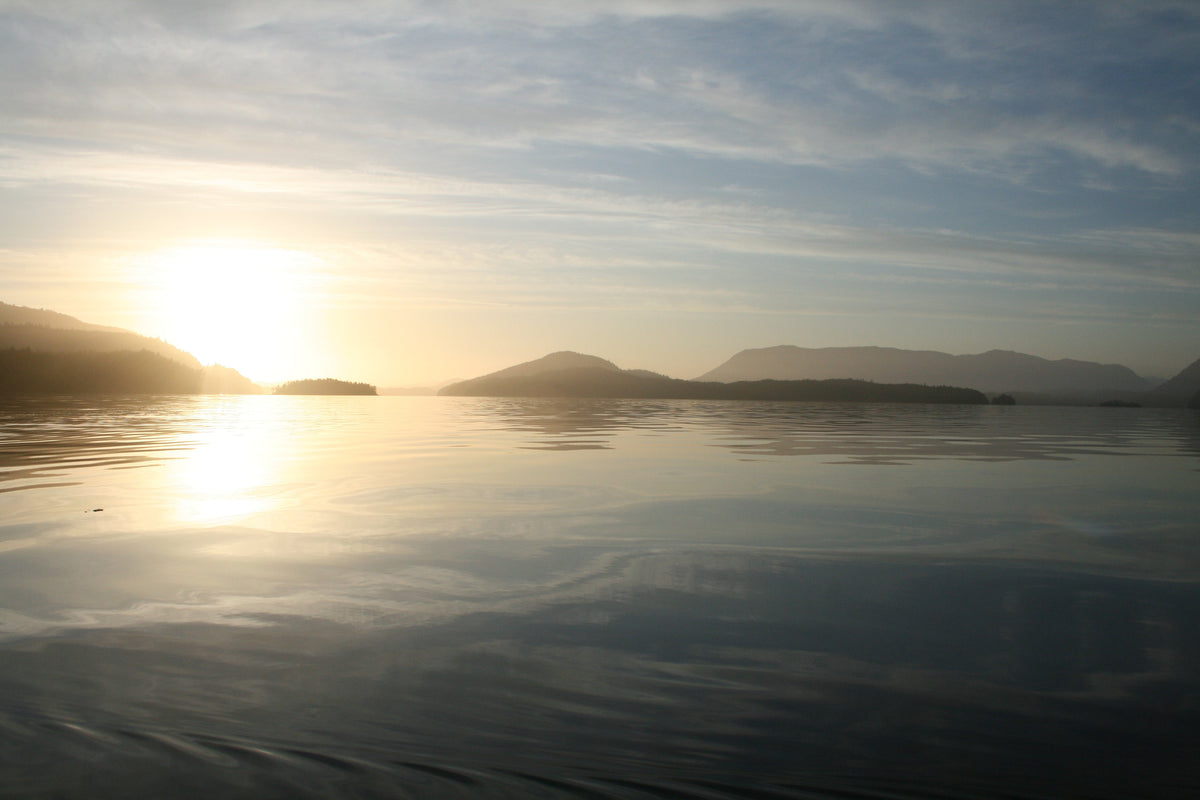 245 Quatsino/Brooks Bay Kayaking and Boating Map 
