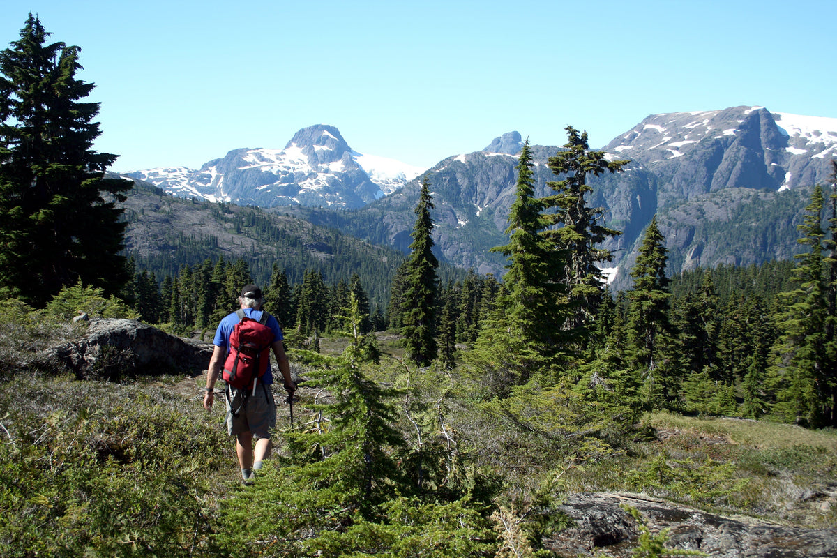 401 - Forbidden Plateau / Strathcona Provincial Park Topographic Trail Map 