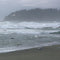 213 West Coast Trail South Trail and Marine Map