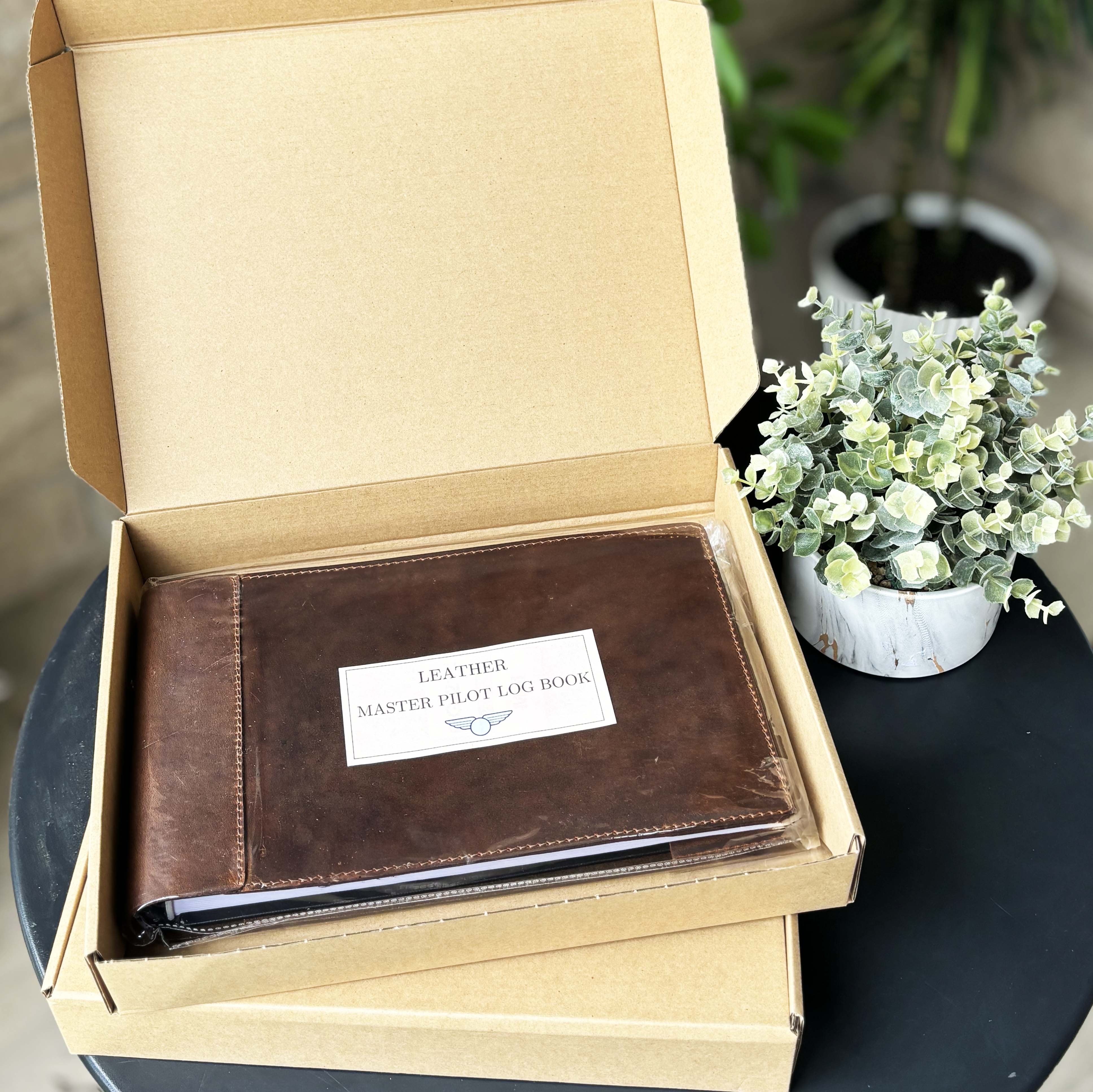 Master Pilot Logbook