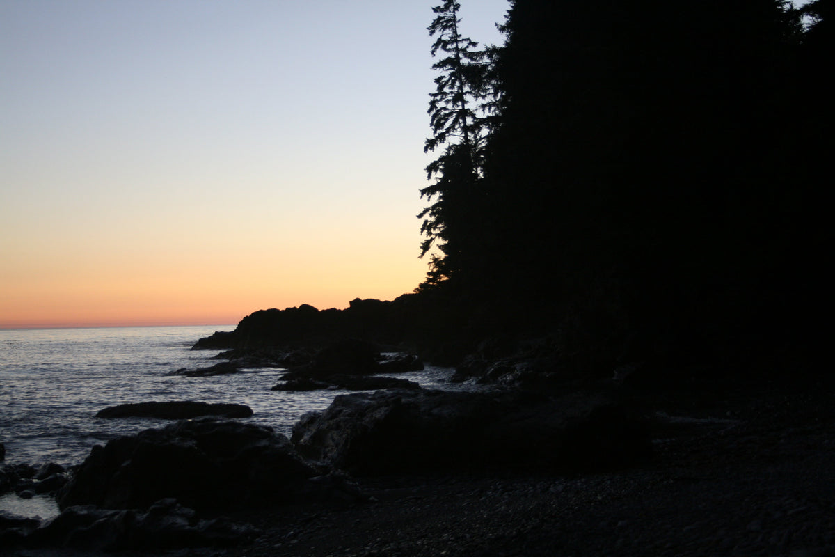 214 Juan de Fuca Trail and Marine Map 
