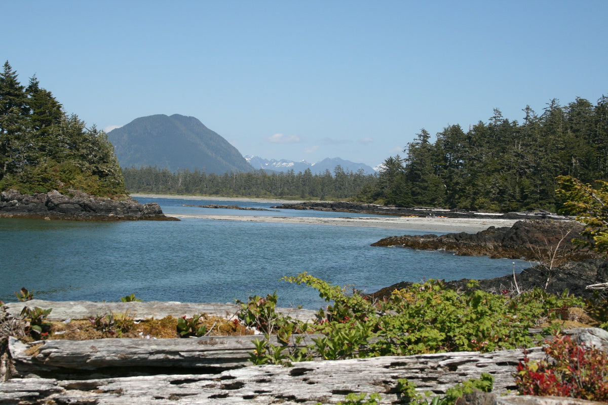 208 South Clayoquot Sound Kayaking and Boating Map 