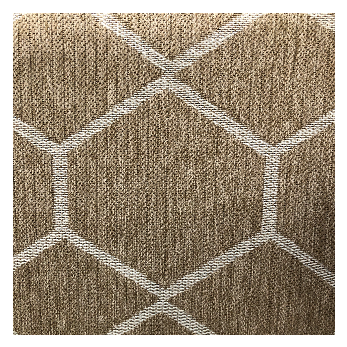 India White Rug 