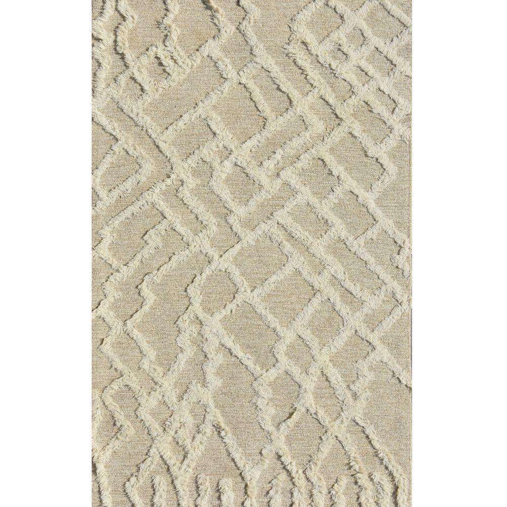 Iris Woven Wool 6X9 Rug 