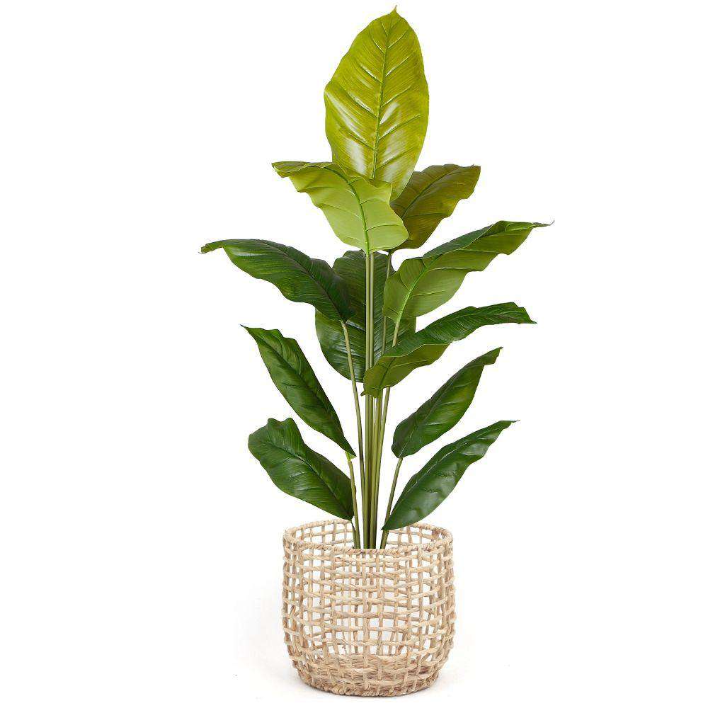 Irma Water Hyacinth Planter 