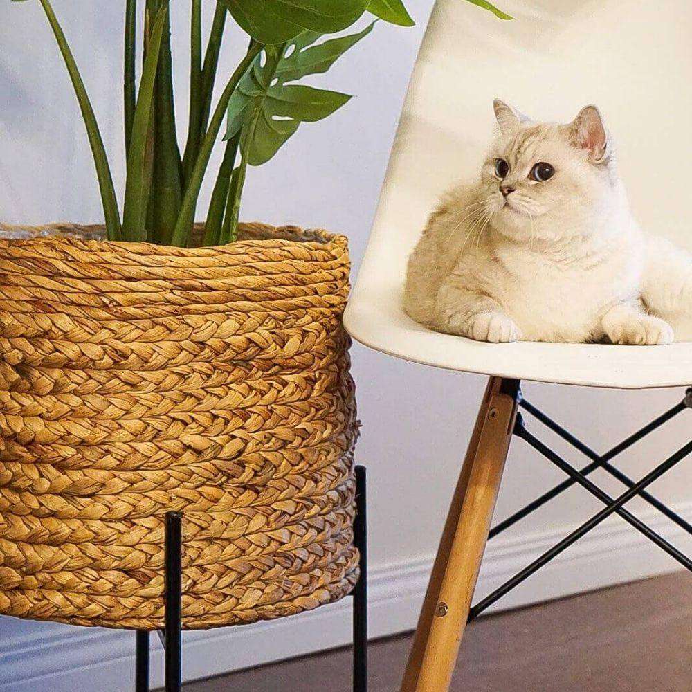 Isha Natural Braided Planter 