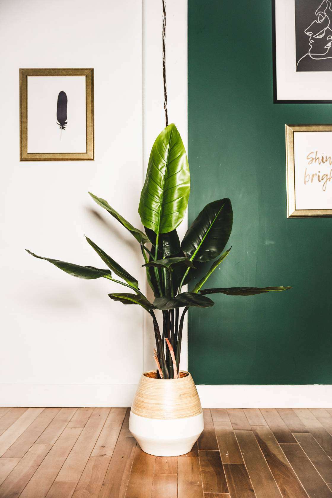 Javi Artificial Spathiphyllum Leaf Potted Plant 51" 