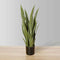 Jose Artificial Snake Sansevieria Dark Green Potted Plant 26