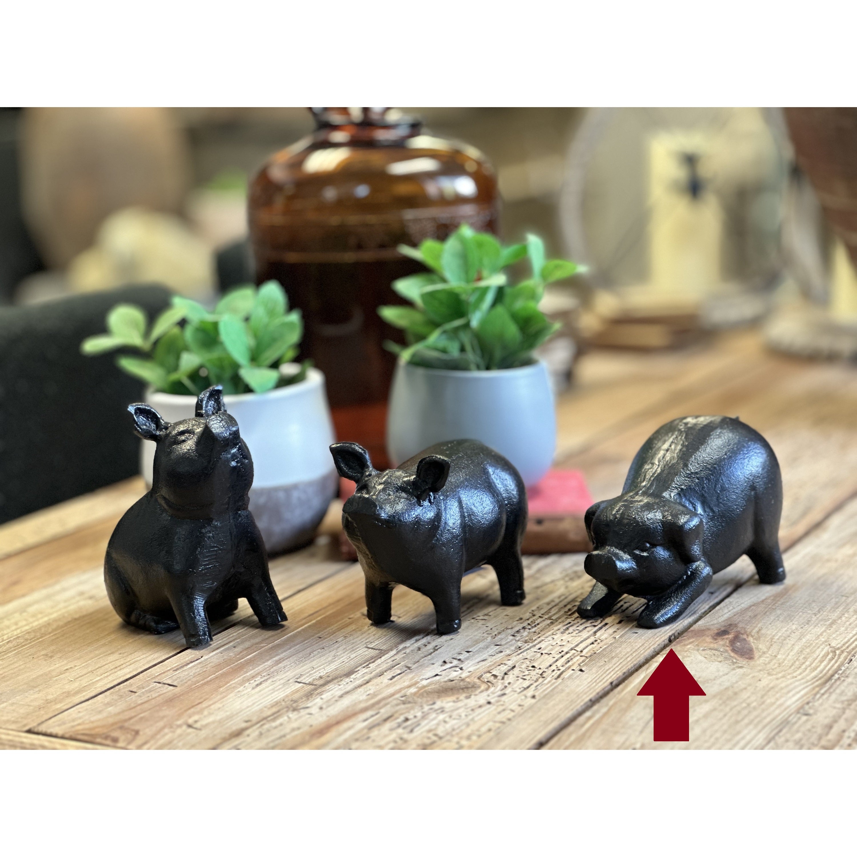 Cast Iron Pig, Head Down 