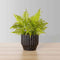 Jula Potted Faux Fern – Realistic Artificial Fern Plant for Home, Office & Spa Décor, Handcrafted Greenery, No Maintenance Required
