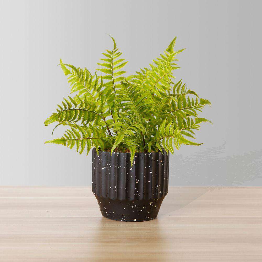 Jula Potted Faux Fern 