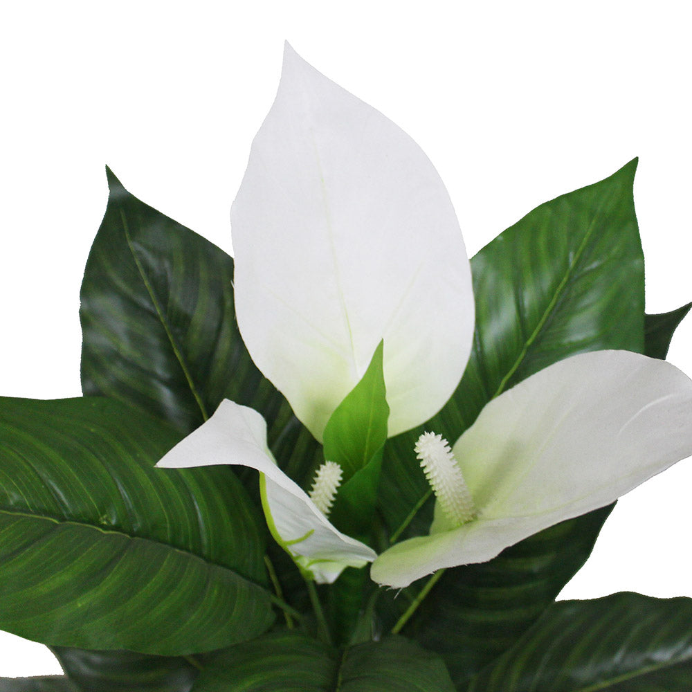 Belen Artificial Anthurium Leaf Potted Plant (Multiple Sizes) 