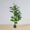 Belen Artificial Anthurium Leaf Potted Plant (3–5.1 ft) | Realistic Faux Rubber Plant for Home & Office