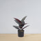 Mongui Artificial Rubber Potted Plant 1.2' – Realistic Faux Greenery for Home or Office Décor