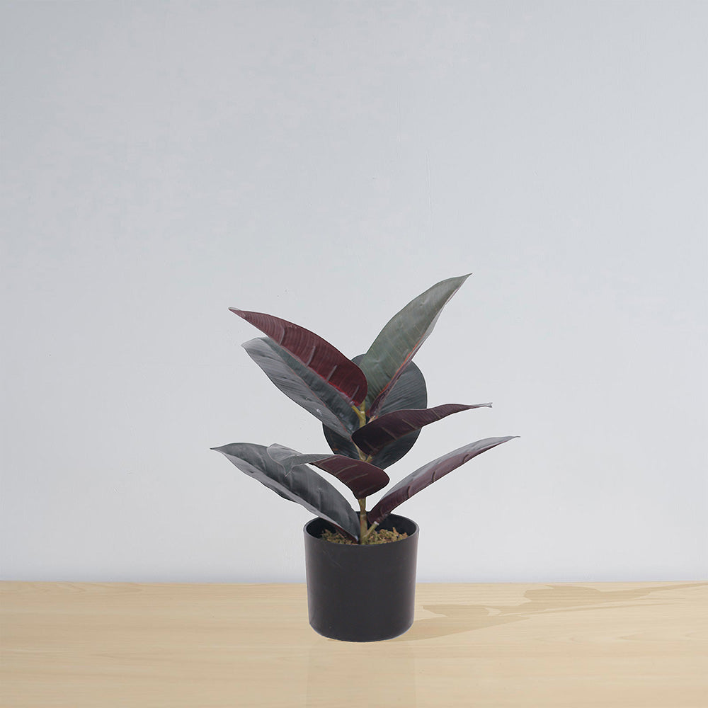 Mongui Artificial Rubber Potted Plant 1.2' 