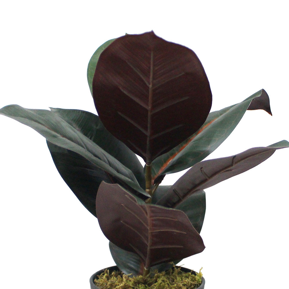 Mongui Artificial Rubber Potted Plant 1.2' 