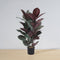 Salamina Artificial Rubber Potted Plant 3' – Realistic Faux Rubber Plant with Lush Green Foliage, Handcrafted Design for Home & Office Décor