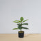 Iza Artificial Rubber Potted Plant 1.4' – Realistic Lush Faux Plant for Home & Office, Handcrafted, Low Maintenance, Perfect for Planters