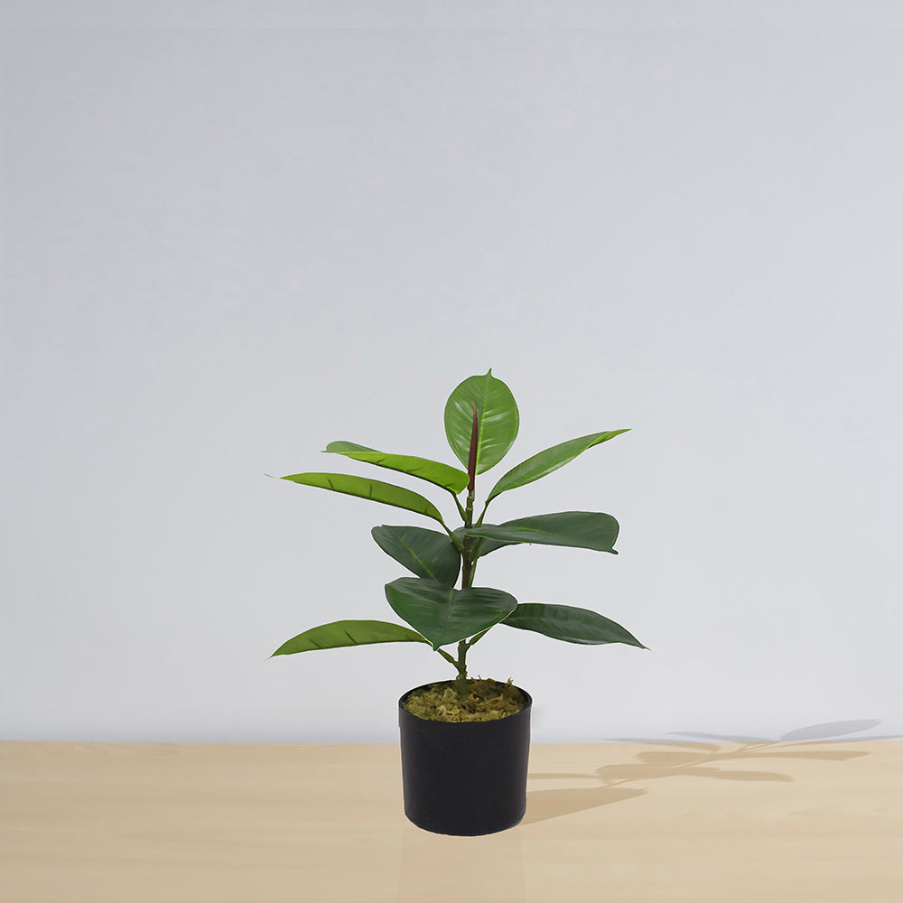 Iza Artificial Rubber Potted Plant 1.4' 