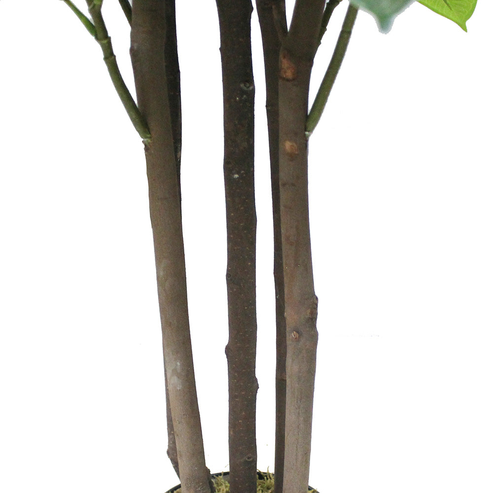 Encanto Artificial Rubber Potted Plant (Multiple Sizes) 