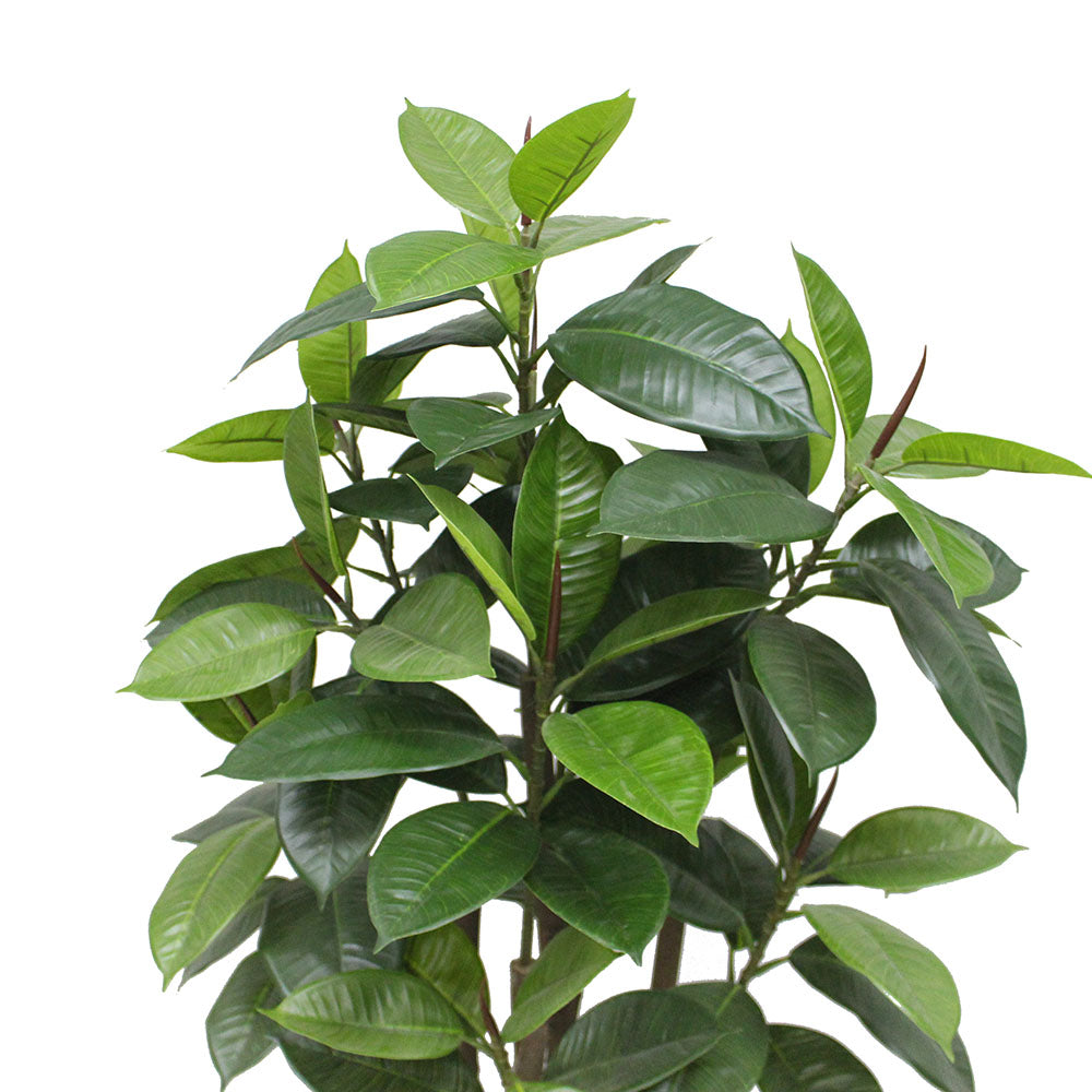 Encanto Artificial Rubber Potted Plant (Multiple Sizes) 