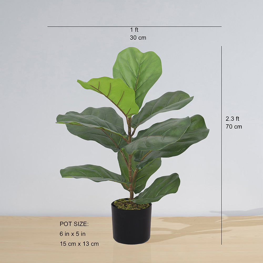 Anza Artificial Fiddle Leaf Potted Plant (Multiple Sizes) 