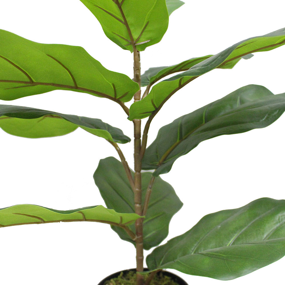 Anza Artificial Fiddle Leaf Potted Plant (Multiple Sizes) 