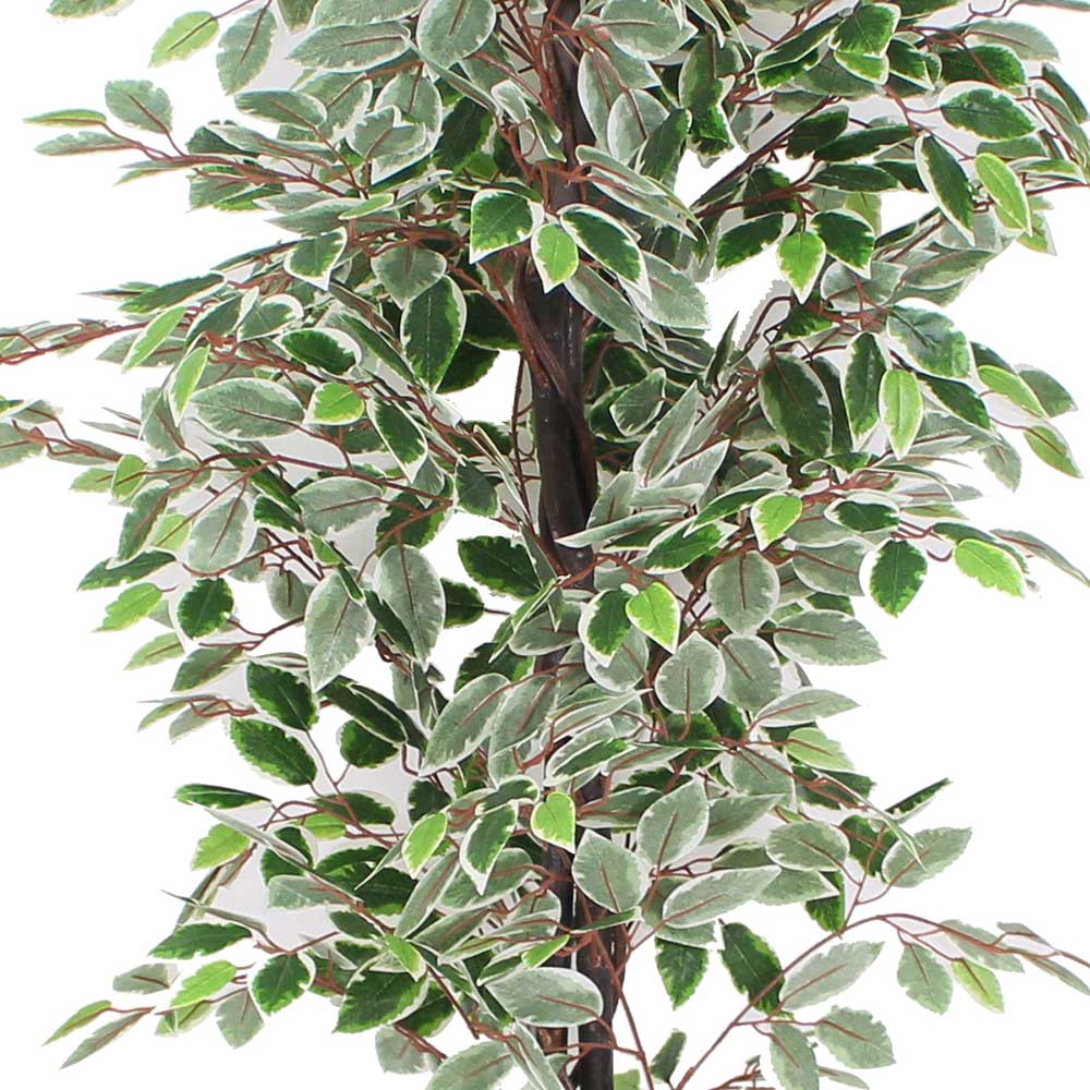 Olaya Artificial Ficus Potted Plant 6' 