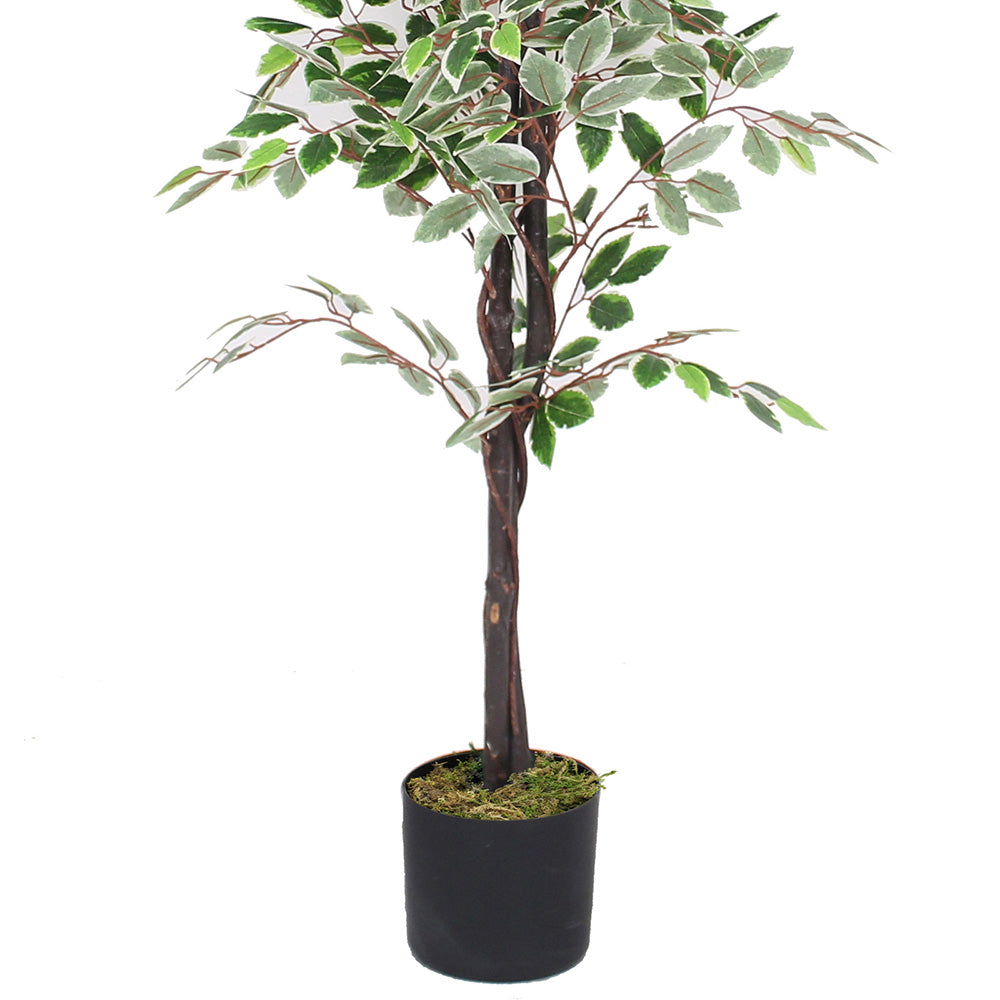 Olaya Artificial Ficus Potted Plant 6' 