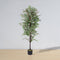 Olaya 6’ Artificial Ficus Potted Plant – Handcrafted Faux Tree with Real Bark Trunk & Lifelike Leaves for Home or Office by ArtiPlanto