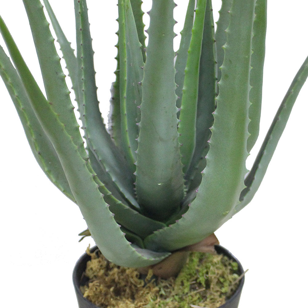 Guamo Artificial Aloe Vera Potted Plant (Multiple Sizes) 
