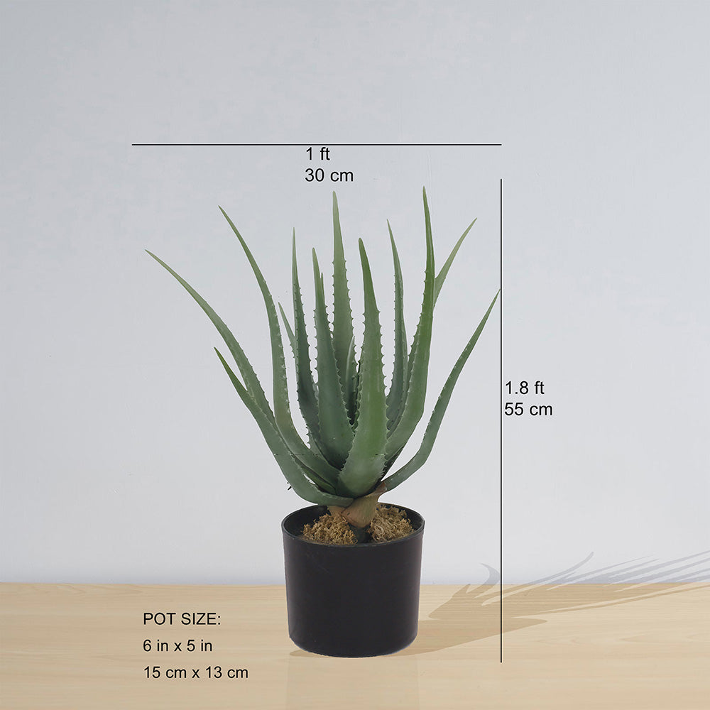 Guamo Artificial Aloe Vera Potted Plant (Multiple Sizes) 