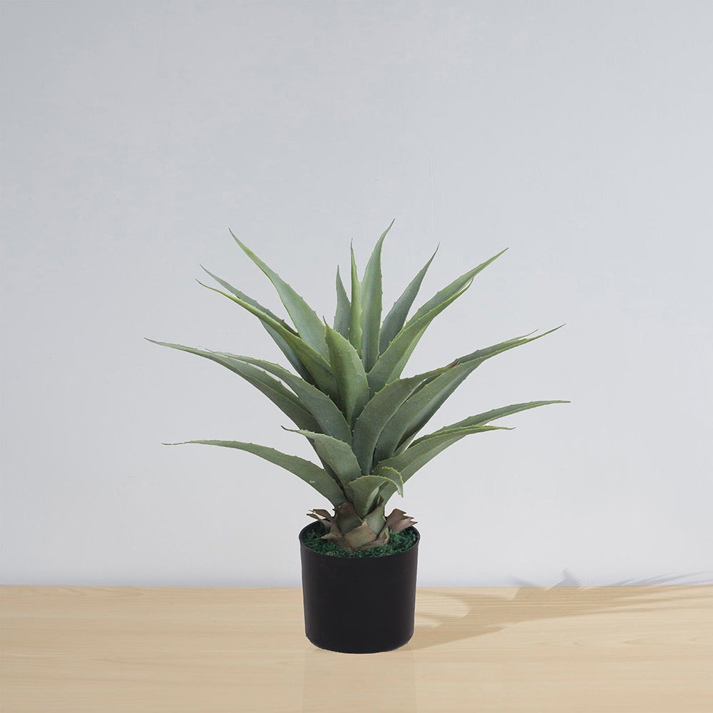 Tunja Artificial Century Potted Plant (Multiple Sizes) 