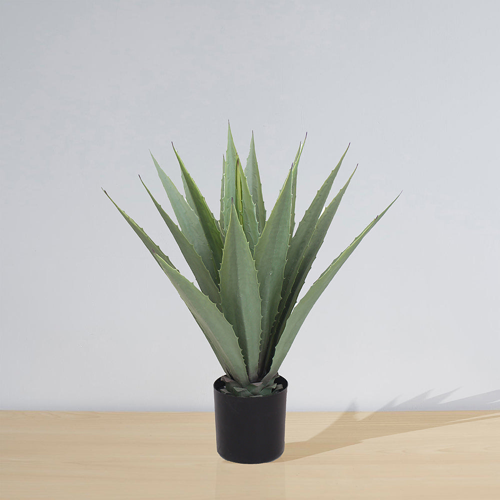 Tunja Artificial Century Potted Plant (Multiple Sizes) 