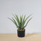 Guamo Artificial Aloe Vera Potted Plant – Realistic Faux Succulent, 1.5–1.8 ft, Indoor & Outdoor Decorative Plant, No Maintenance