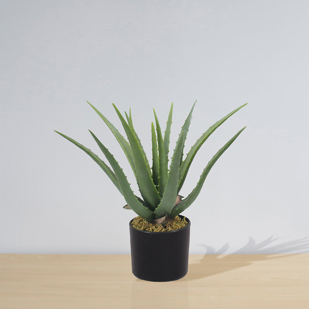 Guamo Artificial Aloe Vera Potted Plant (Multiple Sizes) 