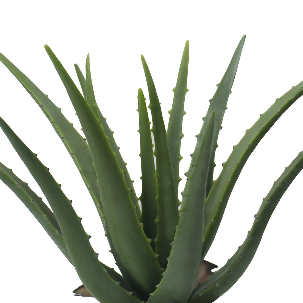 Guamo Artificial Aloe Vera Potted Plant (Multiple Sizes) 